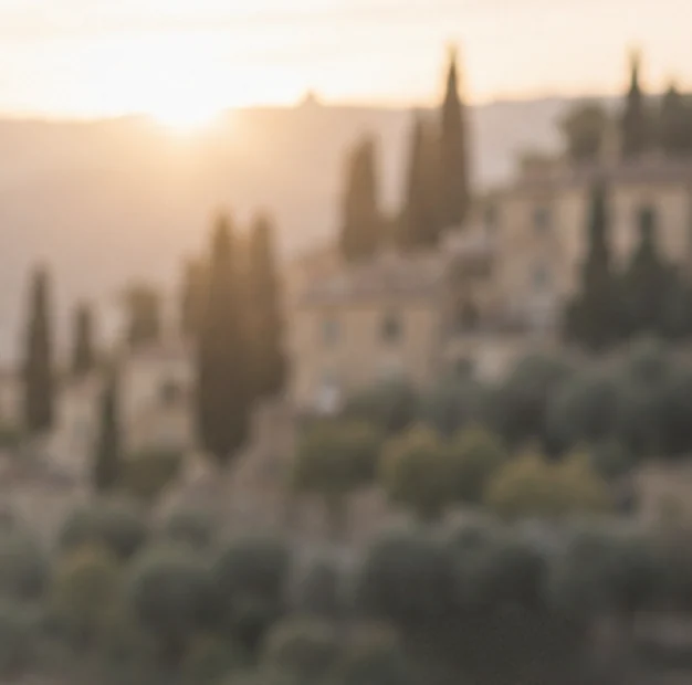 Cypress trees and a hilltop village in soft evening light