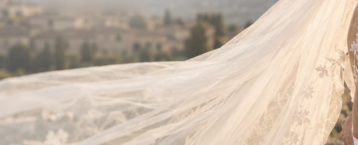 A long lace veil lifting in the breeze above rolling hills